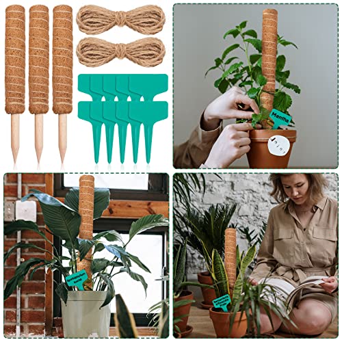 10 Pack Moss Pole, 112 Inch Coir Moss Pole for Plants Monstera, Plant Pole for Climbing Indoor Plants Potted Plants, Plant Sticks Support Extension with 30 Pcs Plant Labels and 5 Pcs Garden Ties - view 6