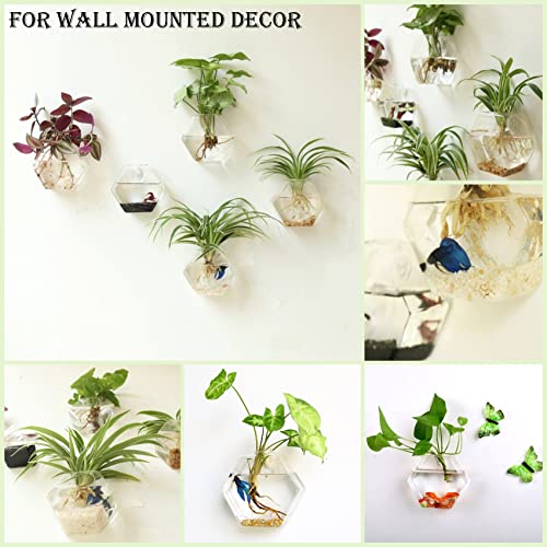 Hexagon Wall Planter Set - 3 Pack Glass Propagation Terrarium Vases with Hanging Mounts for Indoor Plants, Air Plants & Hydroponic Stations Home Office Decor, Plant Lover Gifts (Medium) - view 2