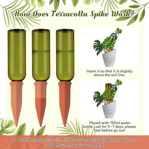 6 Sets Terracotta Watering Spikes,Emerald Green and Terracotta - view 5
