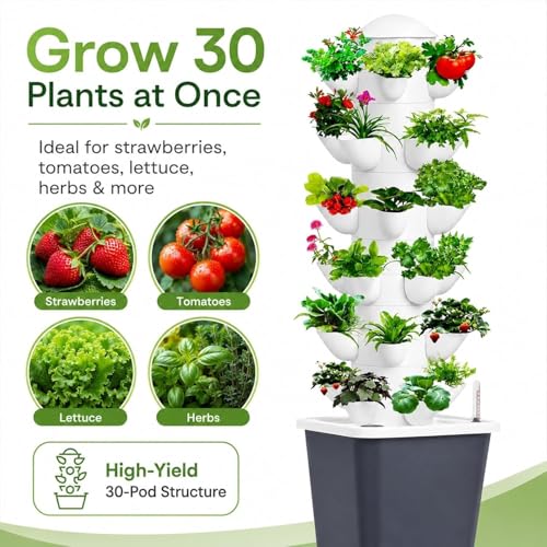Plants Propagation Station - view 5