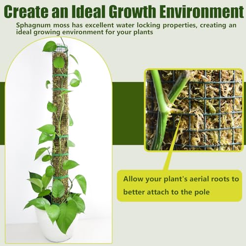 4 Pack Metal Moss Pole, 40" Large Moss Poles for Plants Monstera, Stackable Sphagnum Moss Pole for Plants Work with Sphagnum Moss(4 Pack 40") - view 4