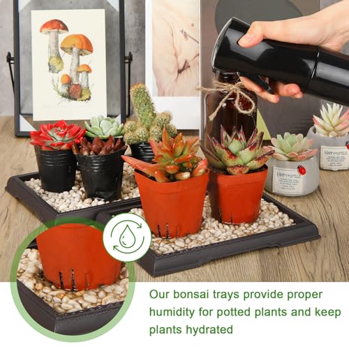 2 Pcs Bonsai Humidity Tray for Indoor Plants,7.8 X 5.5 Inch - view 5