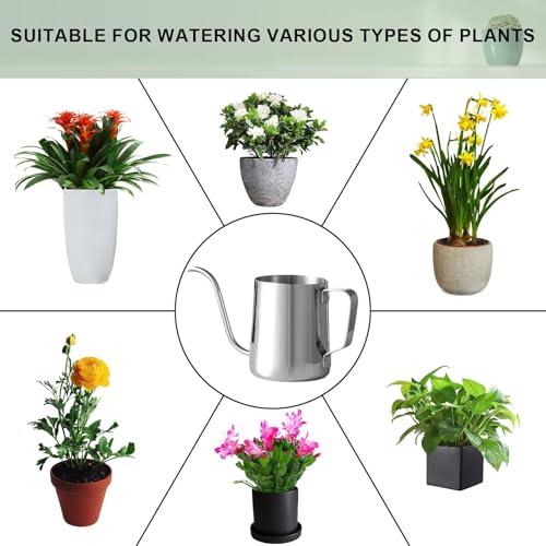 Small Watering Can for Indoor Plants, Plant Watering Can, 12 oz - view 6