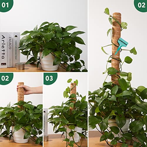 10 Pack Moss Pole, 112 Inch Coir Moss Pole for Plants Monstera, Plant Pole for Climbing Indoor Plants Potted Plants, Plant Sticks Support Extension with 30 Pcs Plant Labels and 5 Pcs Garden Ties - view 2