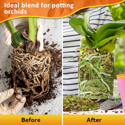 2QT Orchid Potting Mix for Repotting, Pre-Mixed & Ready-to-Use - view 5