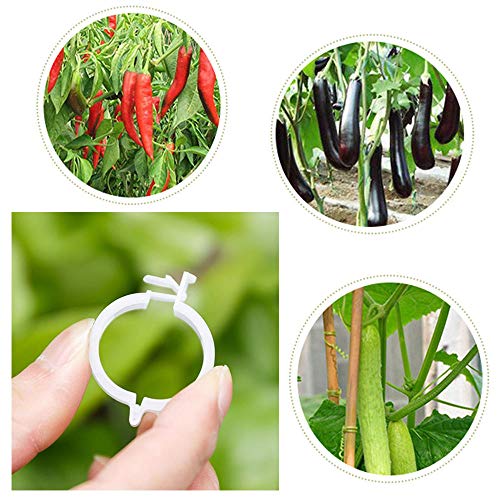 300 PCS Plant Support Garden Clips,Tomato Vine Clips,Durable Crop Clips in White for Flower Vine Twine Tomato Orchid to Grow Upright and Healthier - view 6