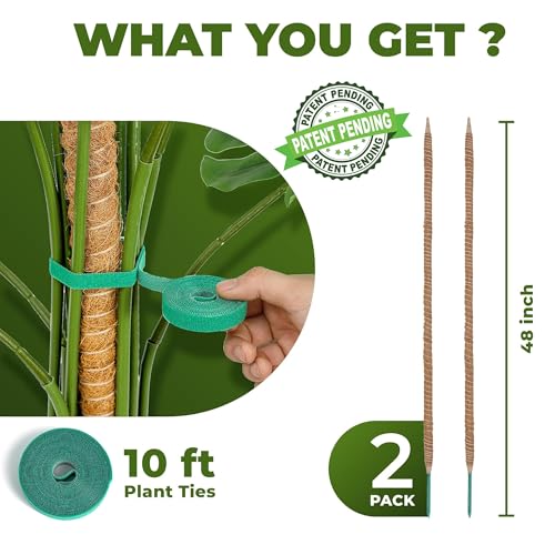 2 Pack 48'' Bendable Moss Pole Monstera Plant Support for Climbing Indoor Plants - Stakes for Potted Climbers - Tall Sticks Indoor Trellis for Houseplants - Accessories for Monstera Pot - view 2