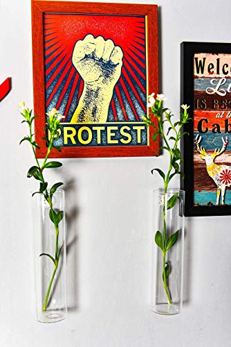 Wall Hanging Vases, 4 Pack Glass Plant Propagation Tubes - view 3