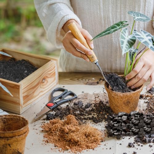Horticultural Charcoal 1qt for Plants, Actived Charcoal Terrarium Supplies, Suitable for Indoor Plants, Succulent, Orchid, Cactus, Bonsai - view 5