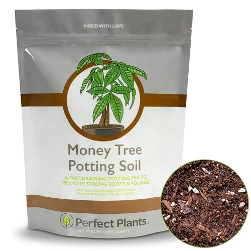Money Tree Potting Soil, 4 qt, Indoor Coco Coir Mix