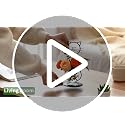 Desktop Glass Planter Vase Holder, Modern Creative Cat Plant Terrarium Metal Stand for Hydroponics Plants Home Garden Wedding Decoration Outdoor Planter Ideas (Style 2) - view 7