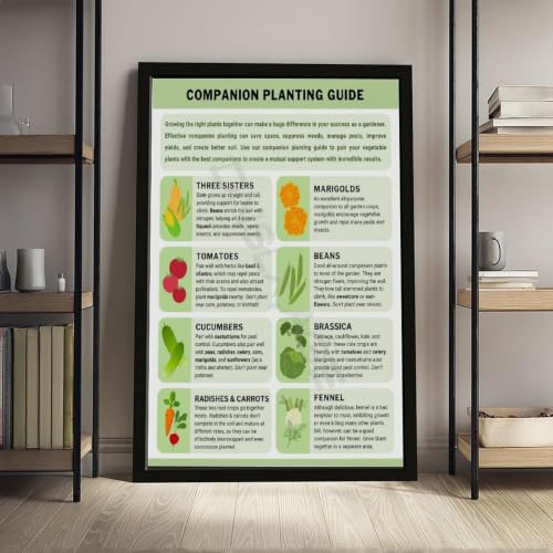 Companion Planting Guide Poster Plantings Types (2) - view 4