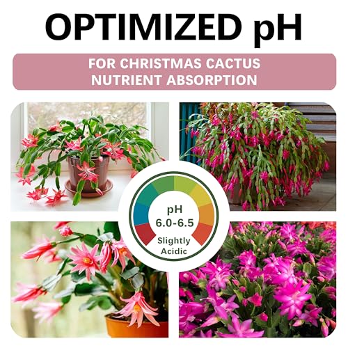 Premium Christmas Cactus Soil – Organic, Nutrient-Rich, Optimal-Draining Potting Mix for Schlumbergera – Promotes Healthy Roots, Balanced Moisture & Vibrant Blooms – Ready to Use (2 QTS) - view 3