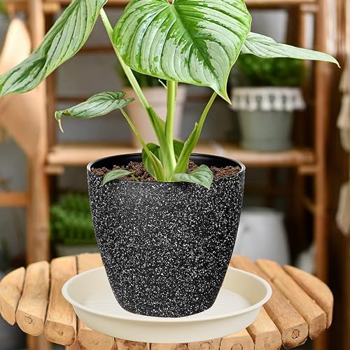 6 Pack of Plant Saucer Tray 4 6 8 10 12 14 17 19 22 25 inch, Heavy Duty Plastic Pot Plant Drip Trays Saucers for Indoors Outdoor, Plant Water Tray for Planters 4-7" (6", Beige) - view 4