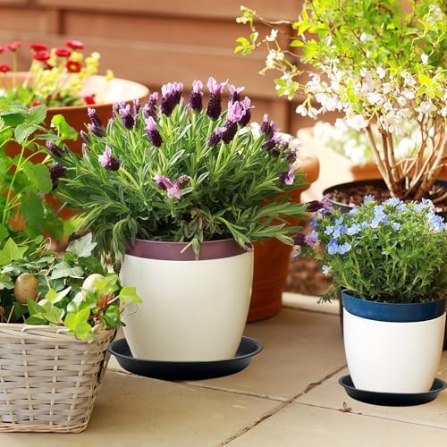 9 Pack Black Plant Pot Saucers, 8 10 12 Inch Heavy Duty PP Trays - view 5