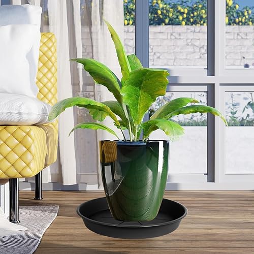 6 Pack of Plant Saucer 4 inch, Heavy Duty Plastic Pot Plant Drip Trays Saucers for Indoors Outdoor,Black - view 3