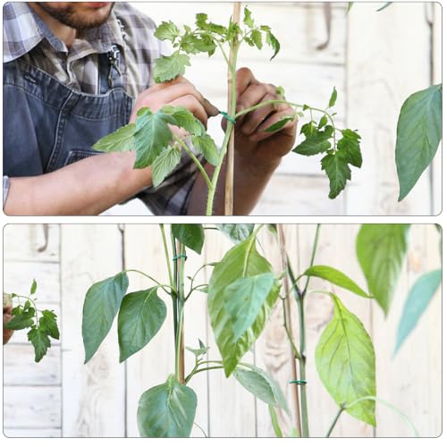 100 Feet Soft Tie for Plants, Green Twist Garden Ties Gardening Supplies for Supporting Climbing Plants, Tomatoes, Vegetables, (Diameter - 2.5MM) - view 6