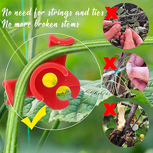 30 Pack Plant Bender Angle Adjustable Plant Training Clips Low Stress Training Clips 90 Degrees Plant Stem(Circle Style,Red) - view 5