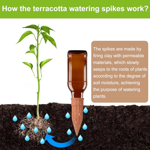 12 Pcs Terracotta Self Watering Spikes for plants - view 3