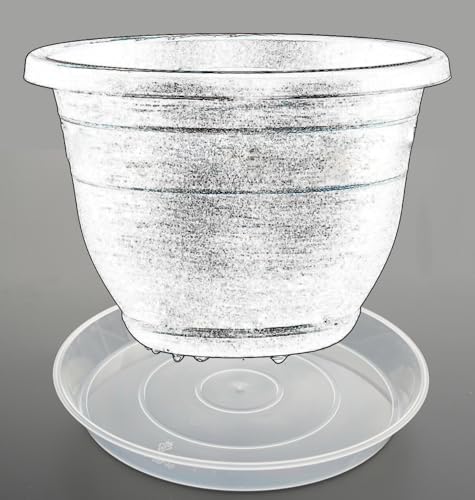 Plant Saucer Tray 12 inch 2 Pack Plastic Plant Trays Saucers for Indoors Outdoor, Heavy Duty Drainage Drip Water Trays for Planter Pots Flower, Round Pebble Tray, Pots Base (12", Clear) - view 6
