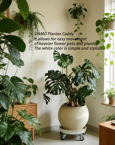16" Heavy Duty Plant Caddy (430lbs Capacity)-Lockable Non-Scratch Swivel Casters Rolling Plant Stand Saucer for Hardwood Floor & Patio Indoor & Outdoor Use,2-Pack,White - view 3