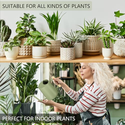 Watering Can Indoor Plants, 35oz Small Indoor Stainless Steel Metal Watering Can Modern Decorative Watering Pot with Long Spout for Indoor House Plant Bonsai Garden Flowers (Sage Green) - view 4