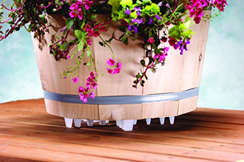 Down Under Plant Stand,12" - view 4