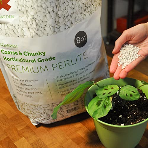Horticultural Grade Perlite for Plants Indoor & Outdoor, Coarse & Chunky for House Plants, Gardening & Potting Mix, Organic Soil Amendment, 8 Quarts Bulk - view 3