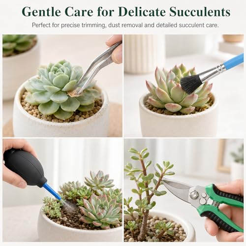 25 Pcs Succulent & Bonsai Tools Set for Beginners, Indoor Plant Care Tool Set with Repotting Mat, Organizer Tote, Soil Moisture Meter, Pruning Shears, Mini Garden Tools, Gardening Gift for Women Men - view 6