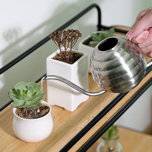 Plant Watering Bottle, 400ml/14oz, Retro Style Watering Can, Matte, Frosted (Silver) - view 4