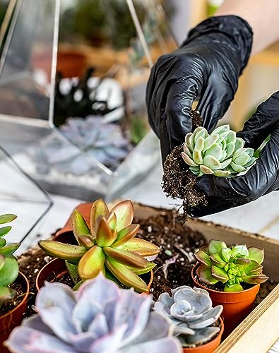 25Pcs Mini Garden Hand Transplanting Succulent Tools Set, 39.4" Thickened Repotting Mat & Plant Tag, Miniature Planting Indoor Fairy Care, Potting, Cactus, Houseplant Bonsai Tool Kit (Black) - view 3