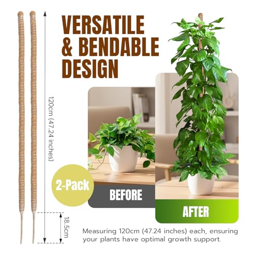 Bendable Moss Pole for Monstera, 2-Pack, 47 Inch - view 2