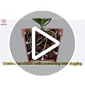8qt Orchid Bark from New Zealand Pine - 1/2-3/4" Organic Sun-Dried Bark Nuggets Mulch, Breathable Potting Medium for Indoor Plants Root Health - view 7