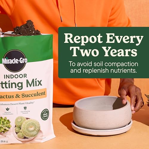 Indoor Potting Mix & Plant Food for Cactus & Succulent Bundle - view 7