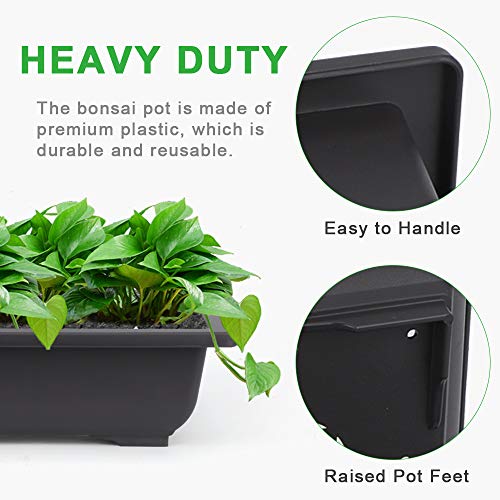 Bonsai Pots with Drainage Tray 6 Pack 9 Inch Bonsai Training Pot - view 5