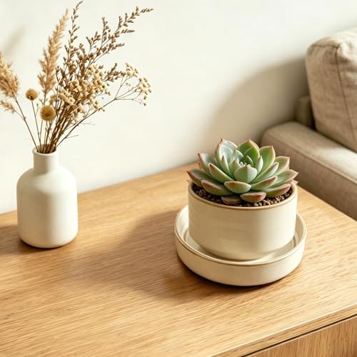 Plant Saucers, 4-Pack 4.5 Inch Ceramic Plant Saucers, Glazed Plant Pot Saucers, Drainage Drip Water Tray, Plant Trays to Catch Water for Indoors Outdoors Succulents Small Potted Plants (White) - view 2