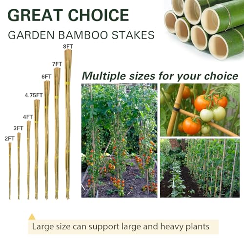 30pcs Bamboo Stakes 4FT, 1/2" D Thicker Garden Stakes Multi-Purpose, Plant Stakes for Tomatoes, Beans, Cucumbers, Peppers, Flowers, Potted, Maintain the Plant Posture, Strengthen and Stem - view 7