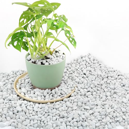 3 Quarts Chunky Perlite for Plant Soil Amendment for Potting Soil, Improves Drainage and Aeration for Soil, Ideal for Succulents, Orchid, Flower Plants (1/4 inch)