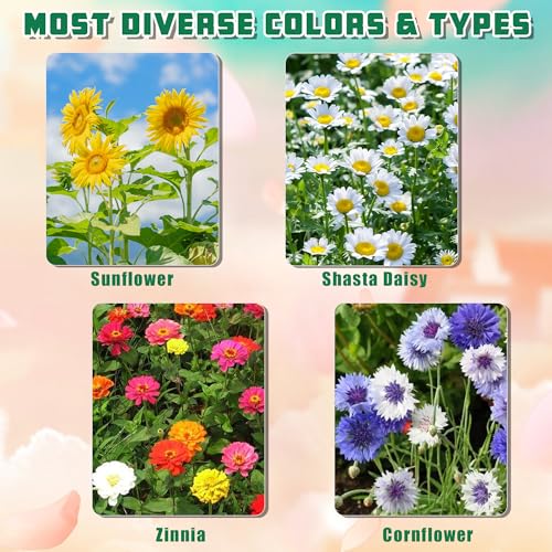Indoor Daisy Garden Starter Kit, 4 Flower Seeds Growing into Shasta Daisy, Cornflower, Sunflower, Zinnia, Including Complete Gardening Tools for Women Men & Beginners - view 3