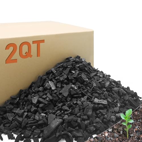 2QT Horticultural Charcoal for Plants