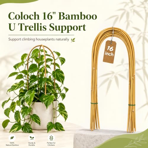 20 Pack Bamboo U Trellis Support, 16 Inch U Loop Plant Stake Arch Garden Trellis for Potted Plants, Climbing Flowers and Vines, Ivy, Outdoor Planting - view 3