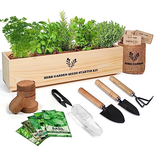 5 Herb Seeds Garden Starter Kit with Complete Planting Kit & Wooden Flower Box, Growing into Basil, Parsley, Rosemary, Thyme, Mint for Kitchen Windowsill Herb Garden DIY