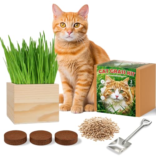 Cat Grass Kit Indoor Cats - Cat Grass Growing Kit with Wooden Planter, 3 Plantings with Wheatgrass Seeds, Coconut Soil Discs & Gardening Tool, Indoor Cat Garden Gift