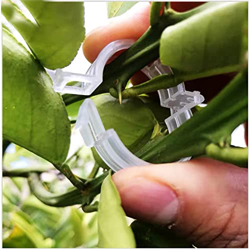 120 Pack Tomato Clips for Climbing Plants Garden Support Plant Trellis - view 5