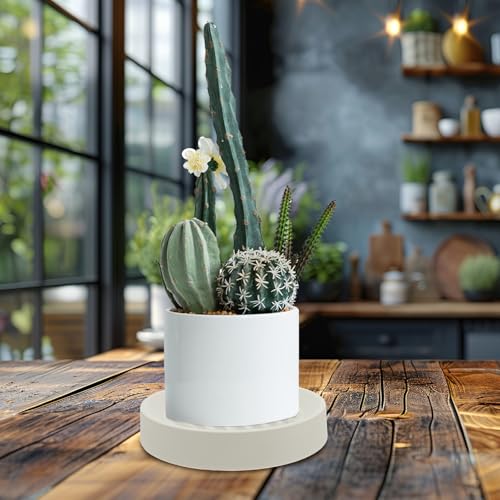 Plant Pot Tray with Hidden Caster Wheels, White Steel PP Rubber Base - view 6