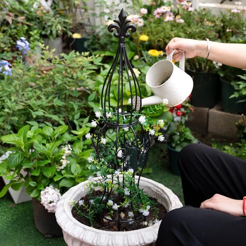 Metal Garden Trellis for Climbing Plants – 29.5" Durable Support - view 5
