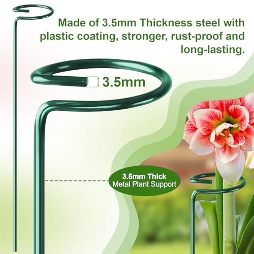 24 Pack Plant Support Stakes, 16 Inch Metal Garden Plant Stakes Single Stem Support Rings for Indoor Outdoor Amaryllis, Flowers Orchid, Lily, Peony, Rose, Tomato, Monstera, Narcissus - view 2