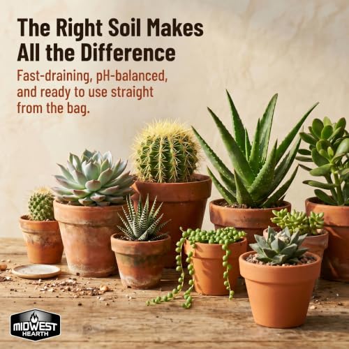 Cactus & Succulent Potting Soil Mix, Fast Draining, Made in USA, 4 Quarts - view 2