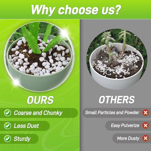 3 Quarts Chunky Perlite for Plant Soil Amendment for Potting Soil, Improves Drainage and Aeration for Soil, Ideal for Succulents, Orchid, Flower Plants (1/4 inch) - view 3