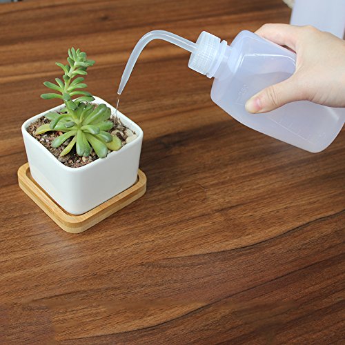 250ml+500ml Plastic Safety Wash Bottles 8 Pack - Each Size 4 Pack - view 6